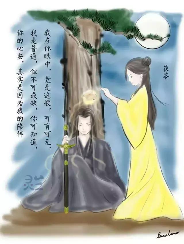 你的心安，是因为我的陪伴(美哭了的图画版中药情书)