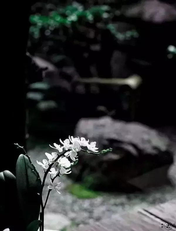 ♬千古词帝的绝世悲情，李煜经典诗词16首